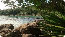 Bombinhas